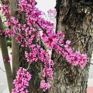 Meet your Posher, Kristy